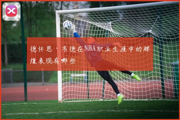 德怀恩·韦德在NBA职业生涯中的辉煌表现有哪些